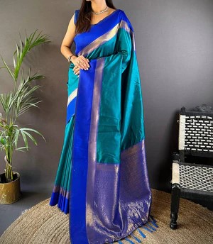 Organza Saree